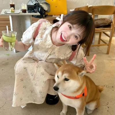 追爱自由行